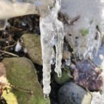 img 0439 5