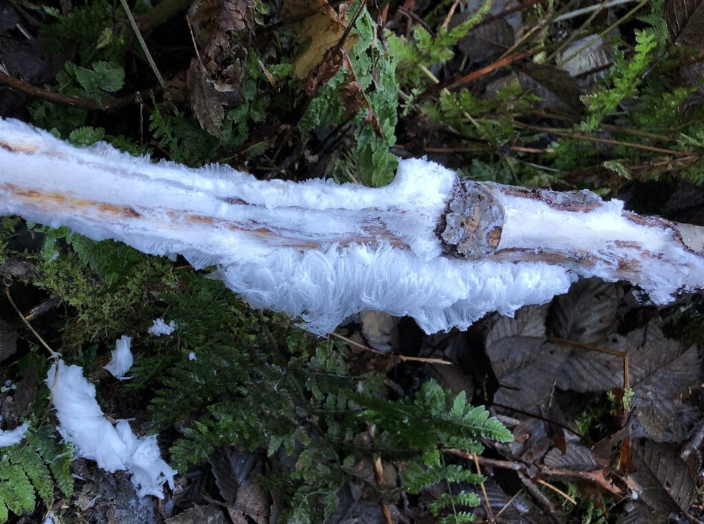 Hair ice img 8212 hair nice shot