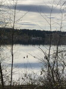 Lightened reflections on rippled water
