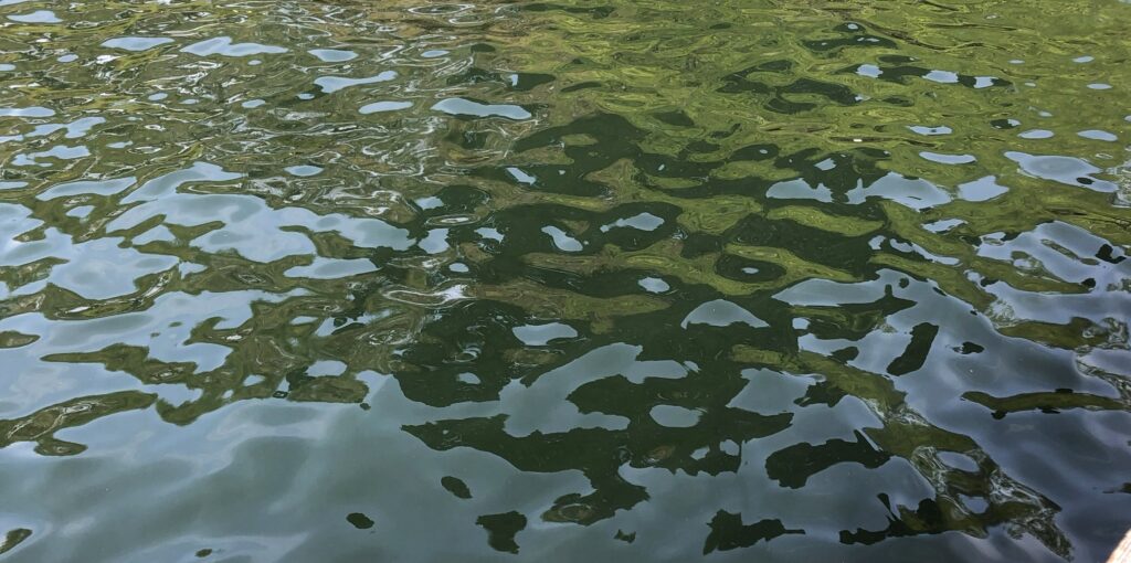 Skypools & landpools img 8390 mid pools and loops