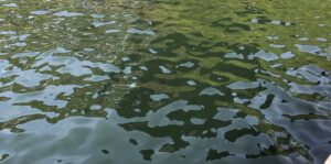 Skypools & landpools