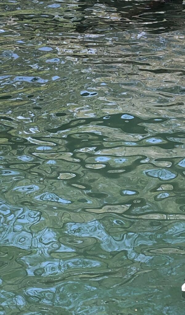 Skypools & landpools img 8393 variety