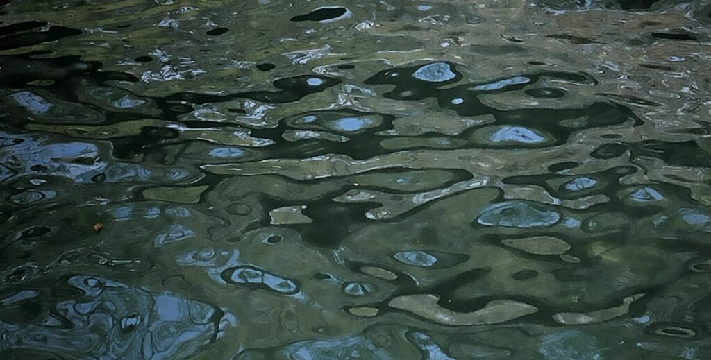 Skypools & landpools img 8394 skypools and landpools