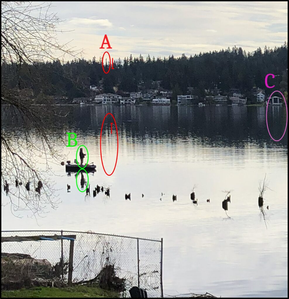 photo man boat tree w markings