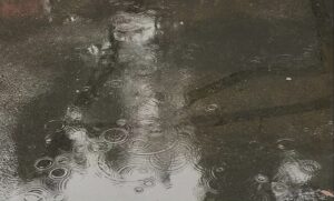 Raindrop wavelets, falling apples