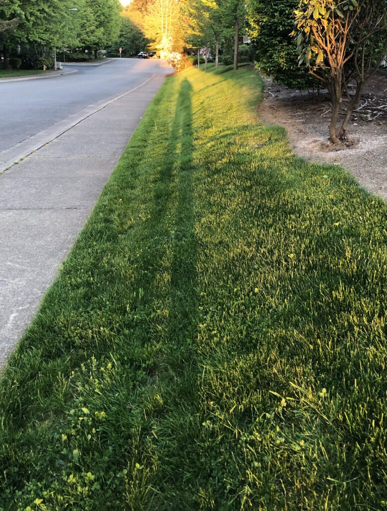 Long Shadows & Opposition Effect b img 8535 opposition & long shadow