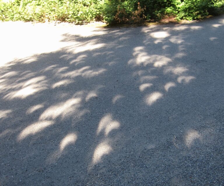 c top level shot sun pics eclipse img 0219 3 ecllips pics foliage
