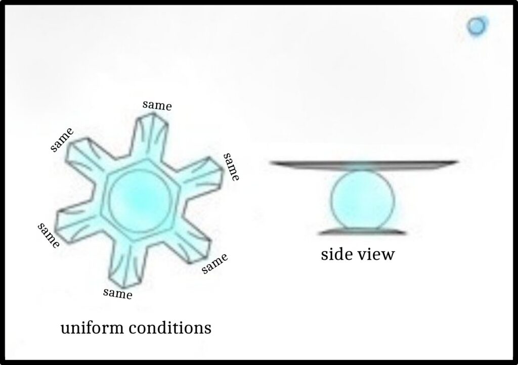PSB #2: Why do Snow Crystals Show Such Symmetry on Each Branch? crystal stage 2