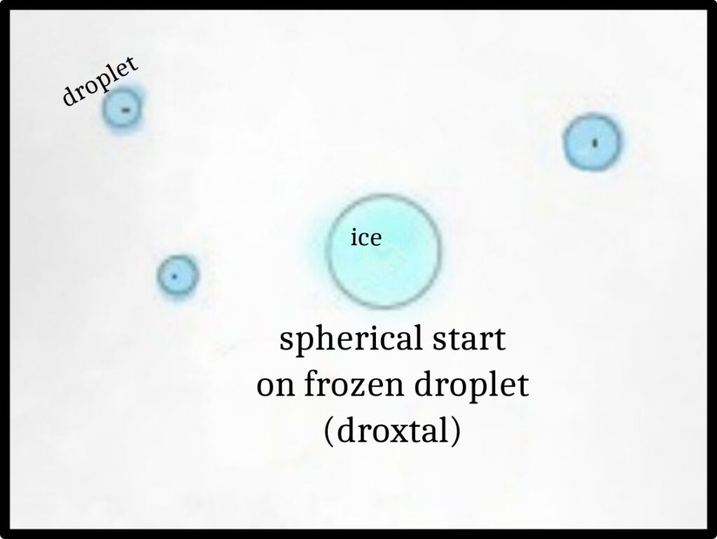 PSB #2: Why do Snow Crystals Show Such Symmetry on Each Branch? droplet stage 1