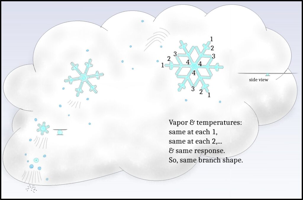 PSB #2: Why do Snow Crystals Show Such Symmetry on Each Branch? overall stage 3