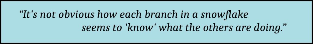 PSB #2: Why do Snow Crystals Show Such Symmetry on Each Branch? the symmetric starxtal quote